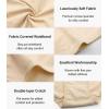 imagewirarpa Womens Modal Underwear Soft High Waist Briefs Ladies Panties 4 Pack Regular ampamp Plus SizeBeige4 Pack