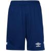 Navy/White
