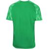 imageUmbro Boys Youth Paton JerseyEmeraldWhite