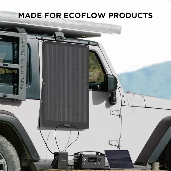 EF ECOFLOW 2PCS 100W 12V Solar Panels, High Efficiency Monocrystalline PV Modules, IP68 Waterproofing, Ideal for RV&amp; Marine Rooftop, Farm Battery, Power Kits &amp; Ecosystem