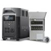DELTA Pro+Transfer Switch