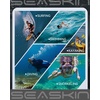 image:imageSeaskin Full Wetsuits for Men 3mm Neoprene Front Zip Diving SuitsBlack