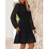 imageZESICA Womens 2025 Long Sleeve Mini Dress Spring V Neck Hollow Out Eyelet Embroidery Ruffle A Line Swing Short DressesBlack