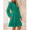 imageZESICA Womens 2025 Long Sleeve Mini Dress Spring V Neck Hollow Out Eyelet Embroidery Ruffle A Line Swing Short DressesGreen