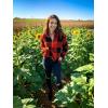imageZESICA Womens Plaid Long Sleeve Zipper Sherpa Fleece Sweatshirt Pullover Jacket Coat with PocketsOrange Red