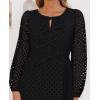 imageZESICA Womens Long Sleeve Mini Dress 2025 Fall Crewneck Tie Front Hollow Out Eyelet Babydoll A Line Short DressesBlack