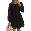 imageZESICA Womens Long Sleeve Mini Dress 2025 Fall Crewneck Tie Front Hollow Out Eyelet Babydoll A Line Short DressesBlack