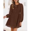 imageZESICA Womens Long Sleeve Mini Dress 2025 Fall Crewneck Tie Front Hollow Out Eyelet Babydoll A Line Short DressesBrown