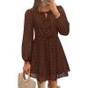 imageZESICA Womens Long Sleeve Mini Dress 2025 Fall Crewneck Tie Front Hollow Out Eyelet Babydoll A Line Short DressesBrown