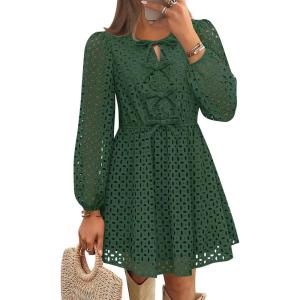 imageZESICA Womens Long Sleeve Mini Dress 2025 Fall Crewneck Tie Front Hollow Out Eyelet Babydoll A Line Short DressesOlive